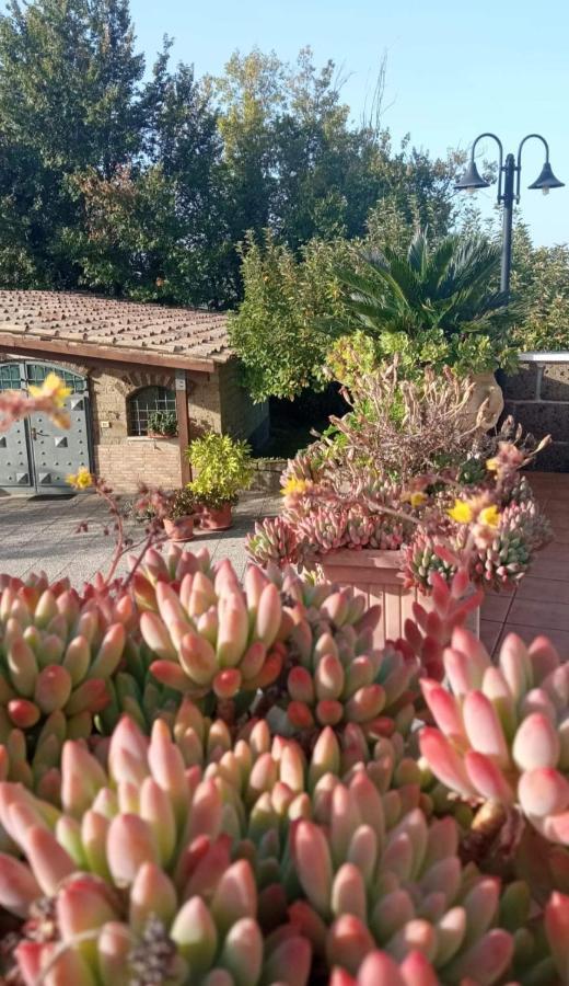 La Casa Sull'Aia,Av Bed & Breakfast Santo Stefano del Sole Exterior photo